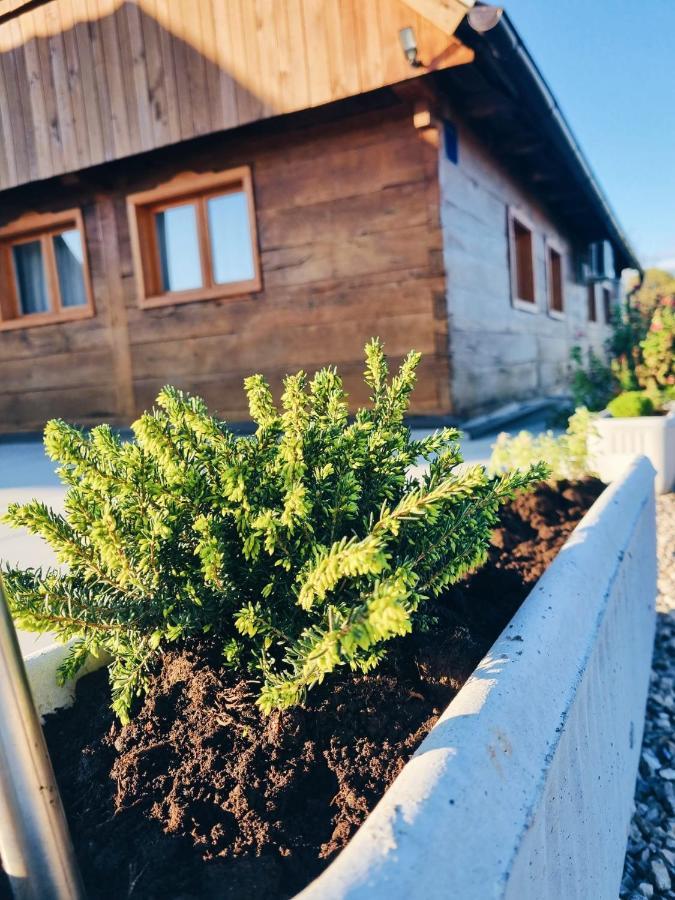 Ruralna Kuca Za Odmor Kablarovo Brdo Casa de hóspedes Krnjak Exterior foto